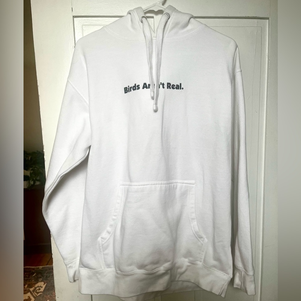 BIRDS AREN’T REAL hoodie